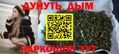 ешки Боровичи