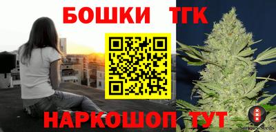 ешки Боровичи