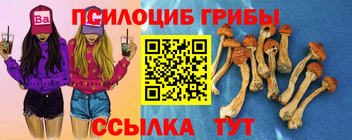 Альметьевск  Псилоцибиновые грибы Psilocybine cubensis  Псилоцибиновые грибы GOLDEN TEACHER  Вход с VPN 