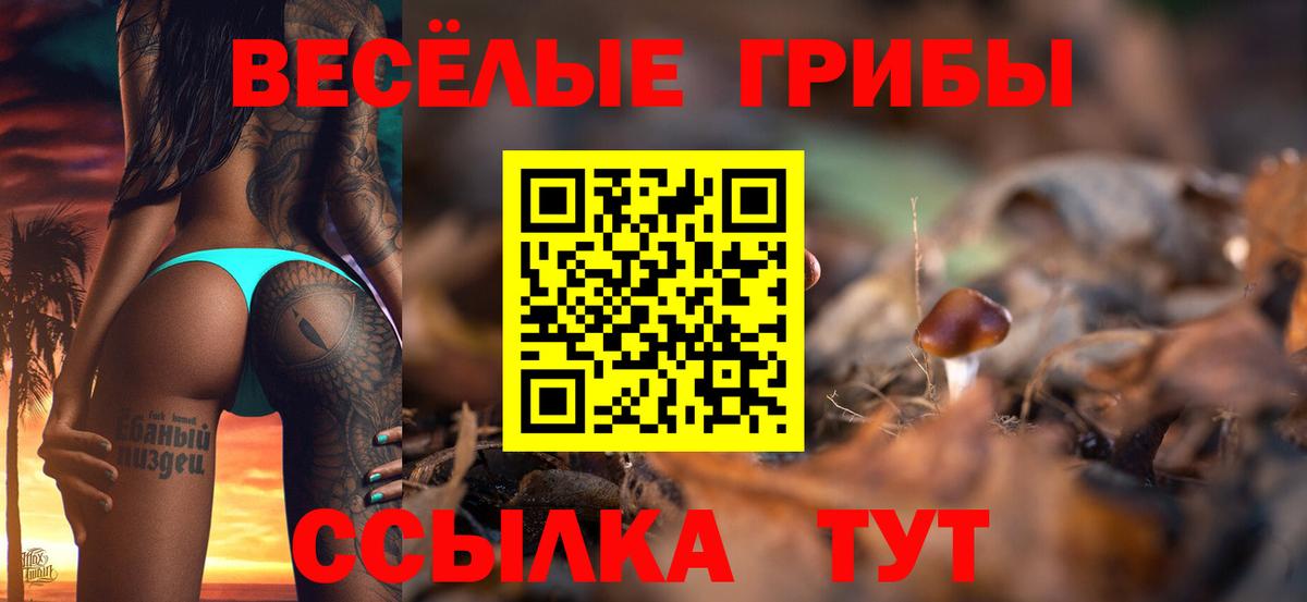 Псилоцибиновые грибы мухоморы Альметьевск